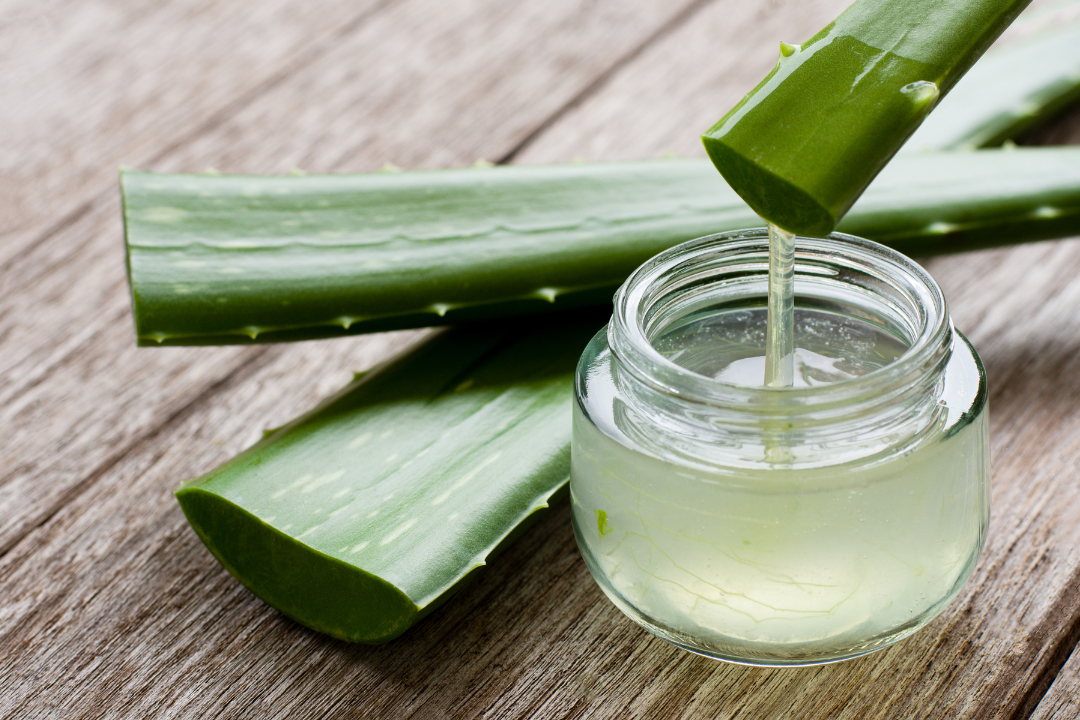 Discover the Benefits of Aloe Vera for Hair