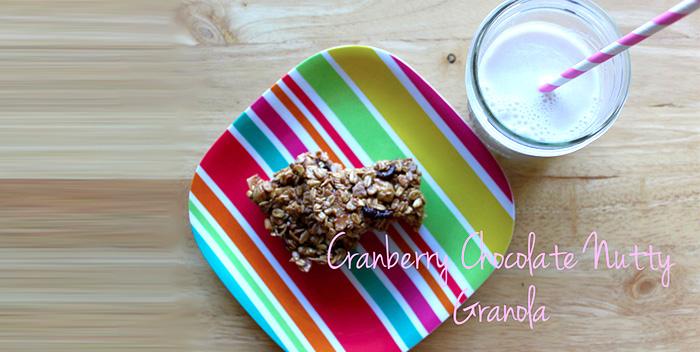 Cranberry Chocolate Nutty Granola