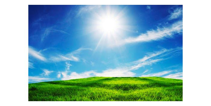 Living Green
