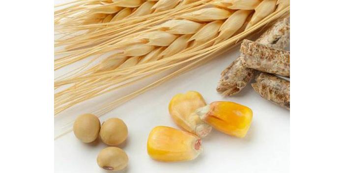 Inside the Brand: nuNAAT